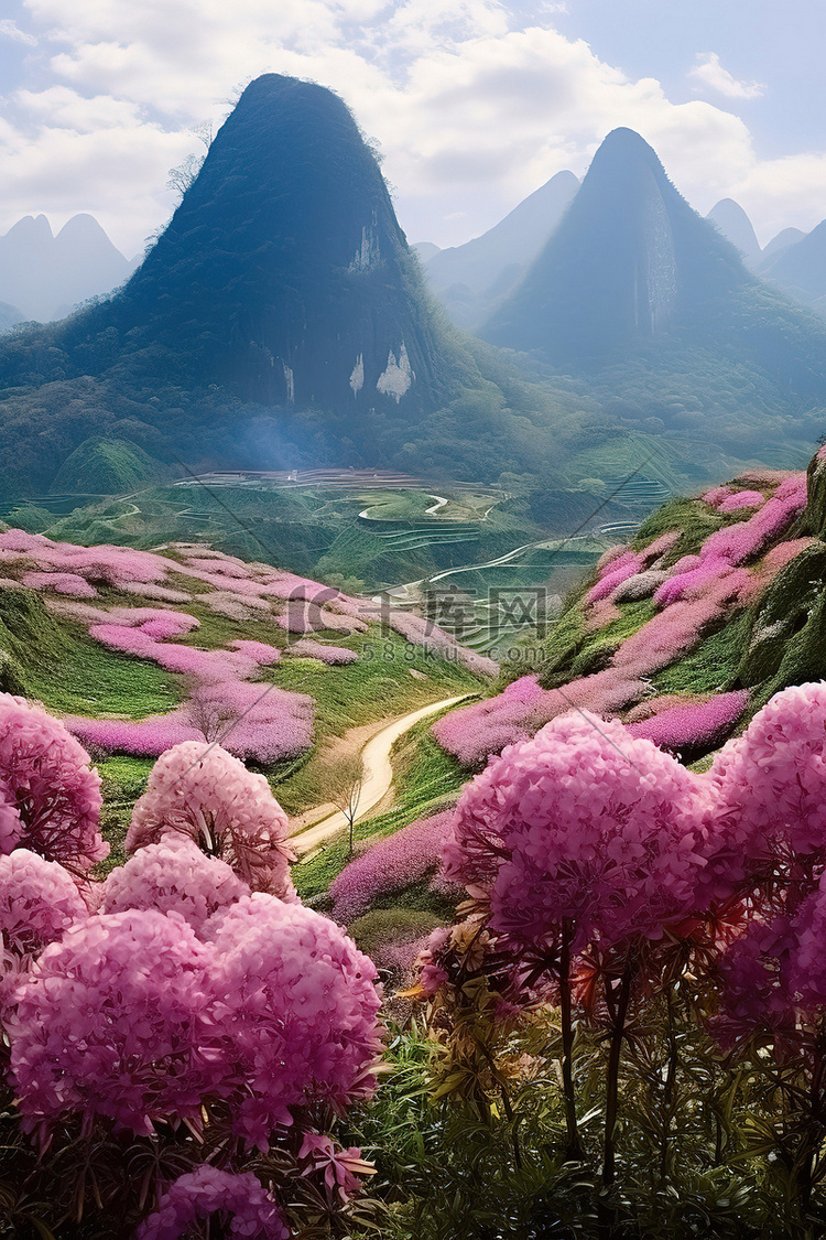 粉红色的花朵在山周围的山