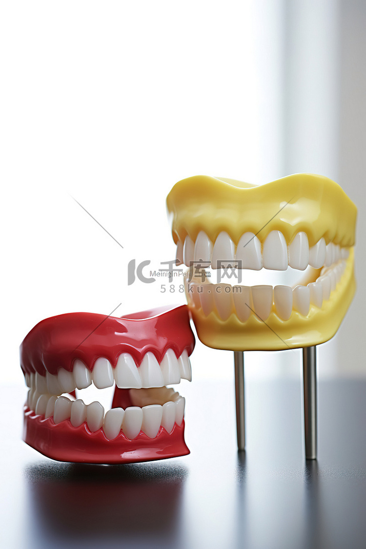 两个带有牙刷的牙齿模型