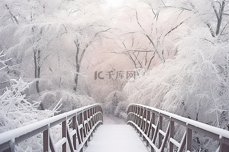 一座木桥，周围环绕着积雪的树木