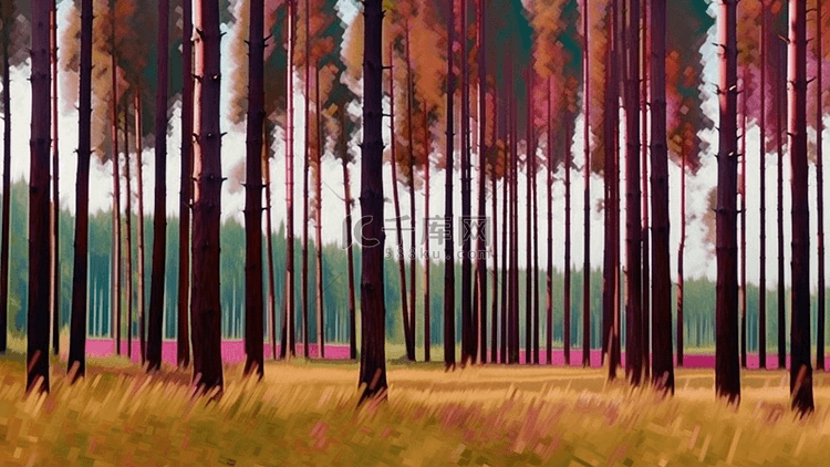 森林树木背景