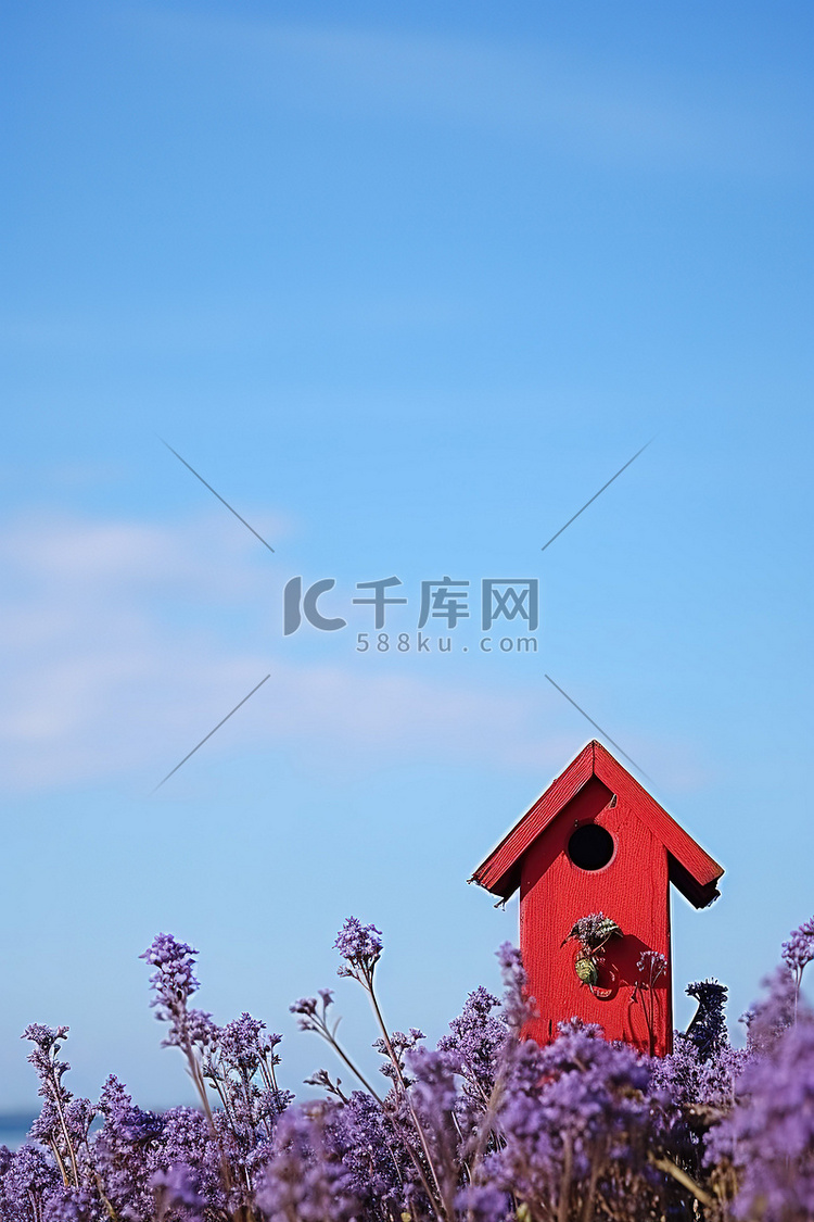 小红色鸟舍和紫色的花朵与蓝天