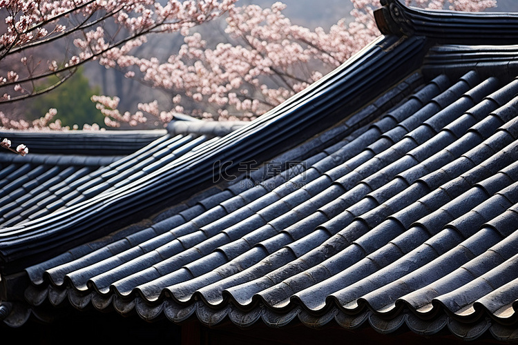两个屋顶，背景中有开花的小树