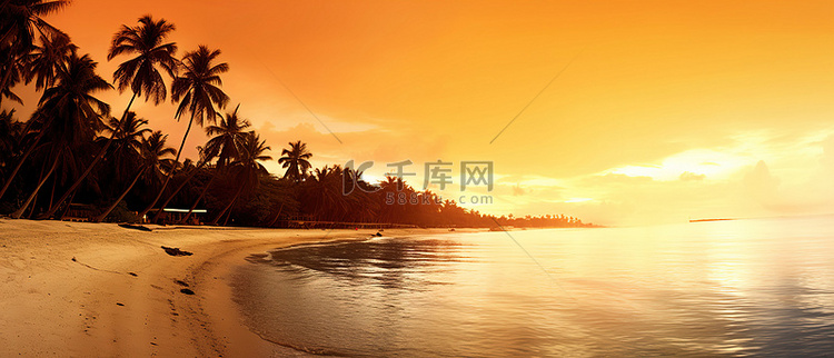 橙色天空下长满棕榈树的荒凉海滩