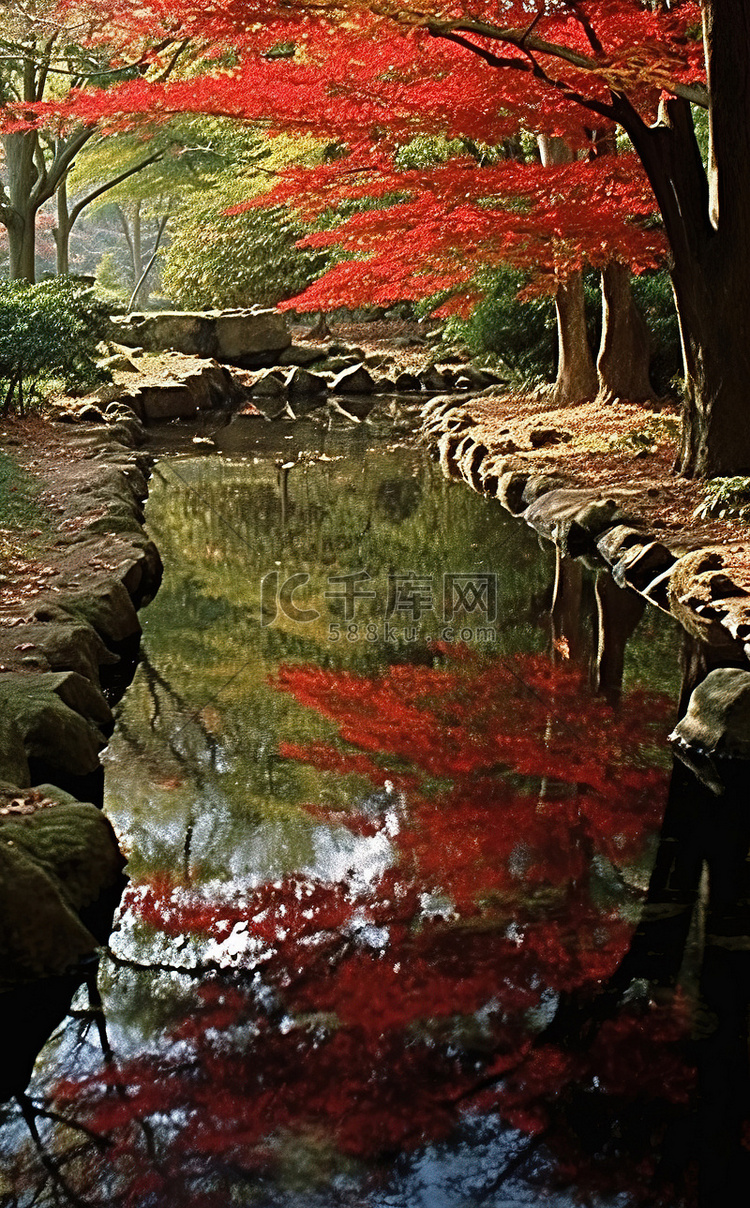 溪水倒映着红叶