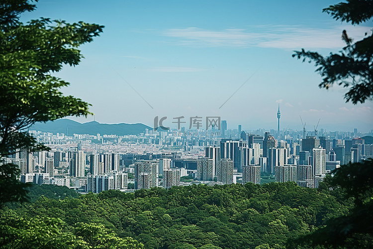 从树上看首尔的城市景观