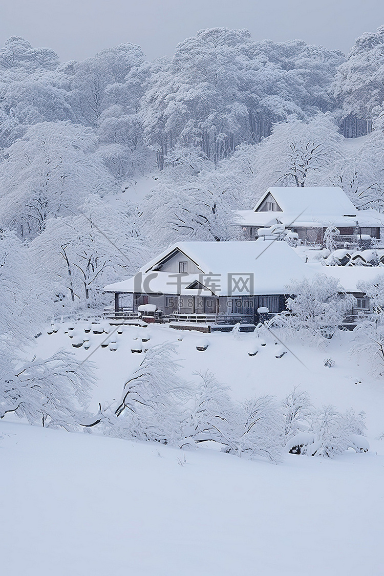 房屋被埋在厚厚的积雪中