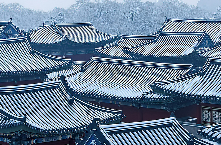 雪上的韩国宫殿