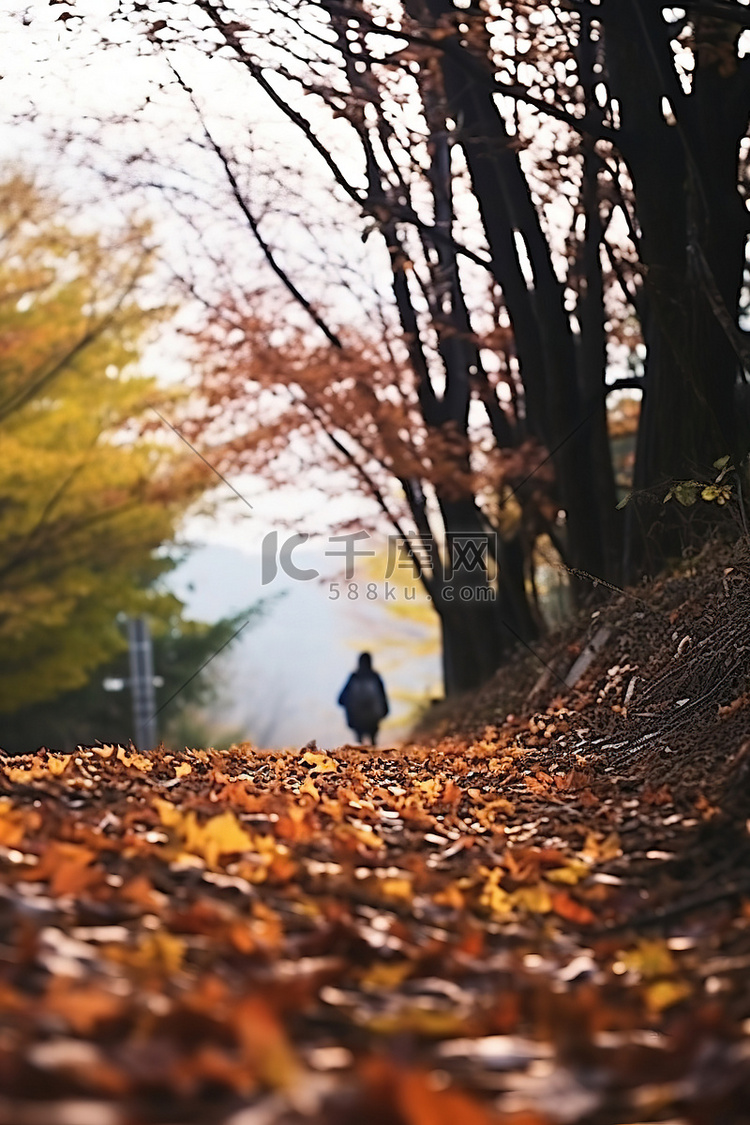 一个人走在铺满秋叶的小路上