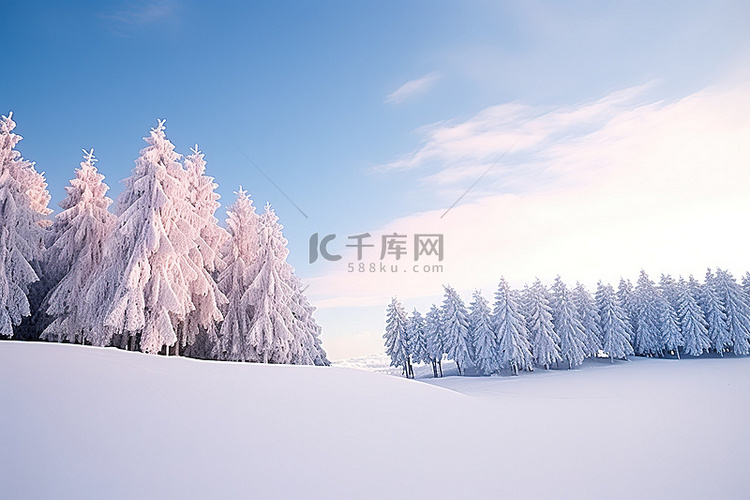 雪覆盖的场景，上面有树木和蓝天