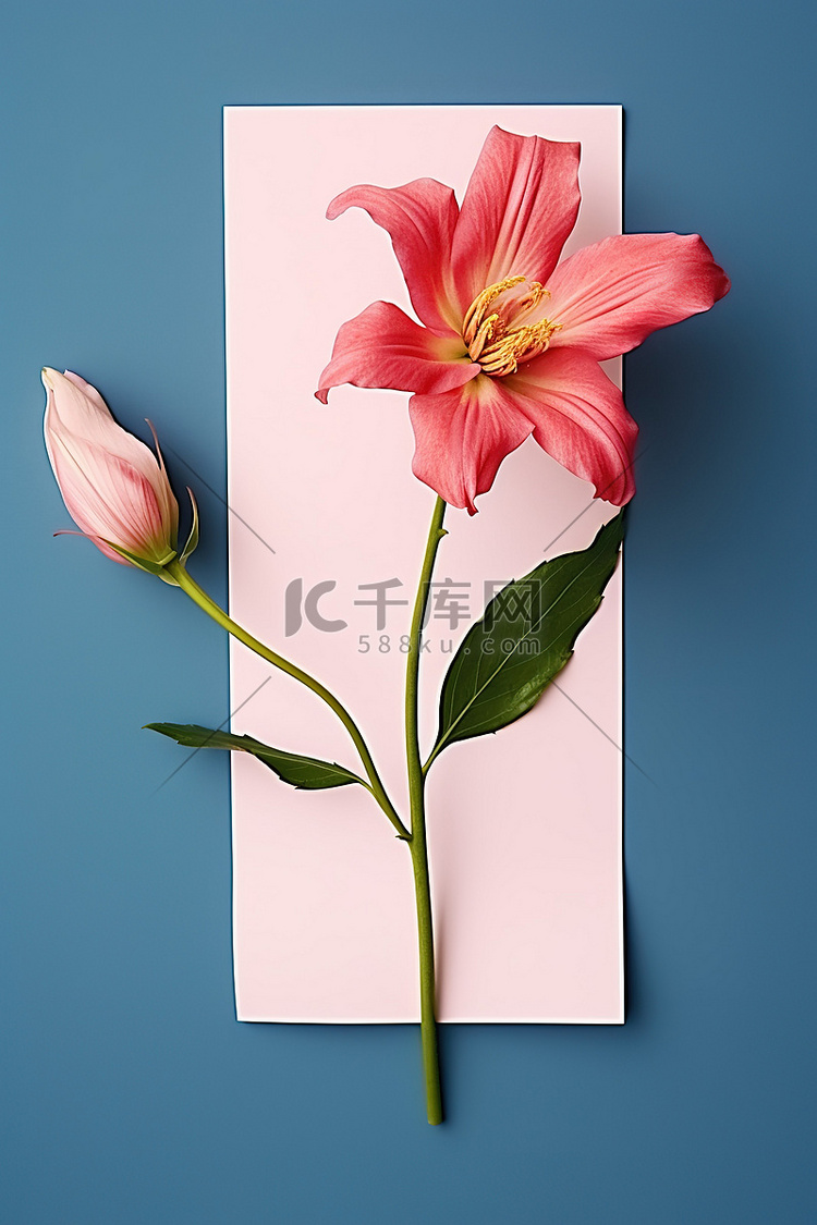 蓝色背景旁边纸上的粉红色花朵