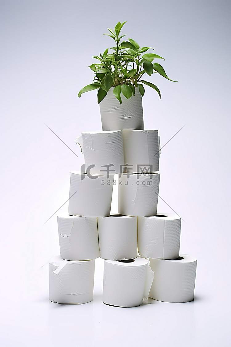 一叠卫生纸，上面有植物和一个盆