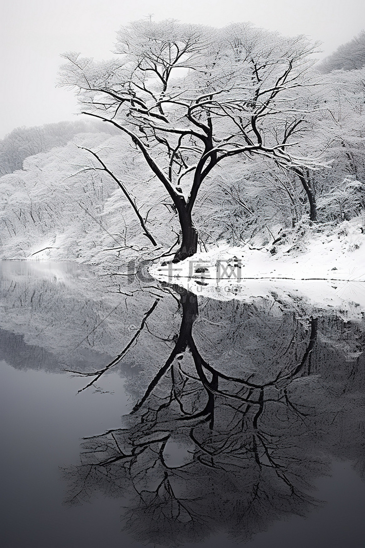 雪湖倒映在雪天