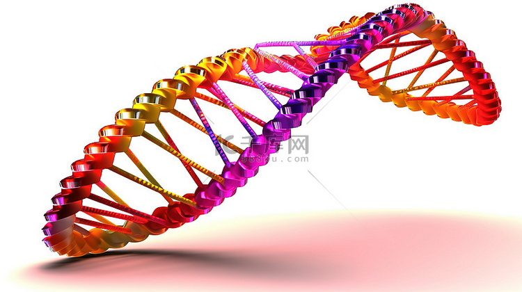 白色背景下 dna 模型的 3d 插图