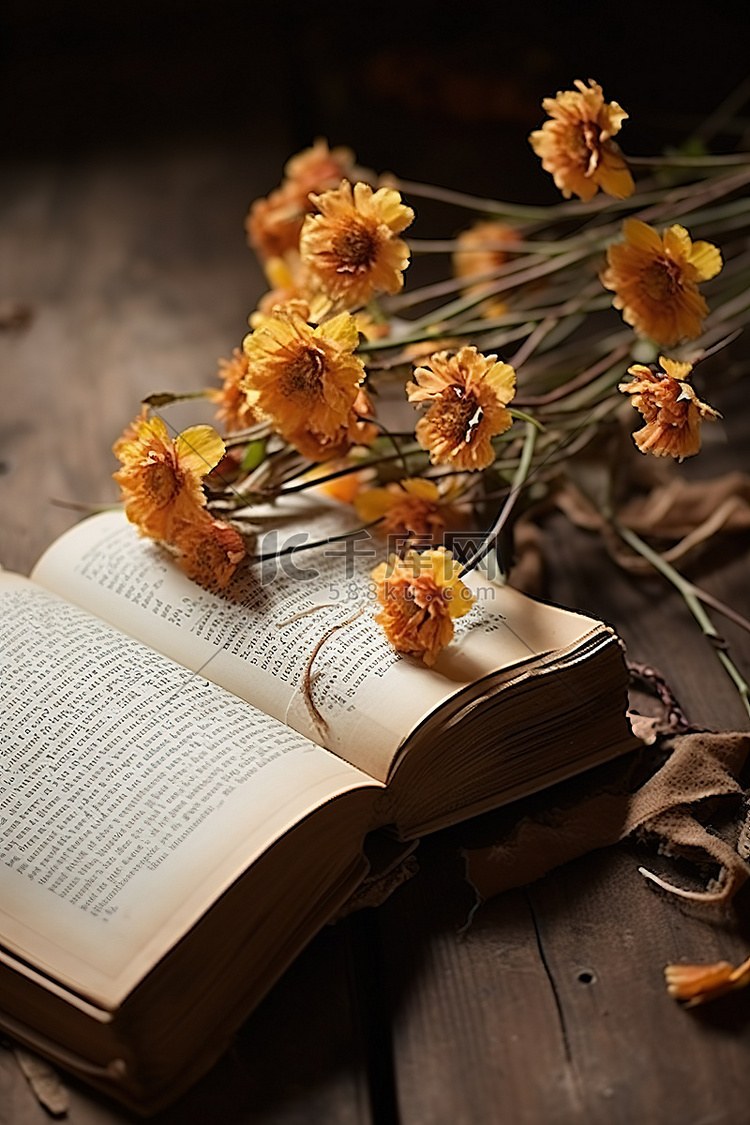 旧书与鲜花和一本书和鲜花 prspri