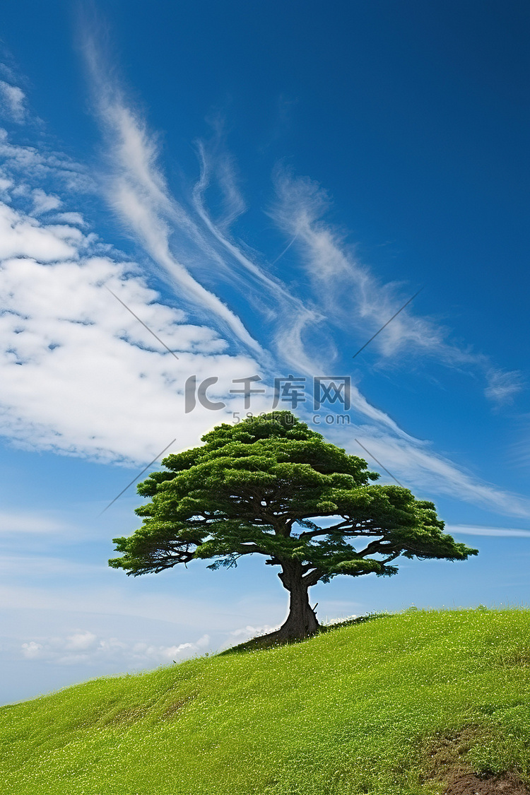 一棵树矗立在蓝天下的绿色山顶上