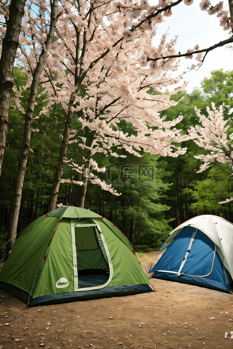 春季旅游露营搭帐篷摄影图9