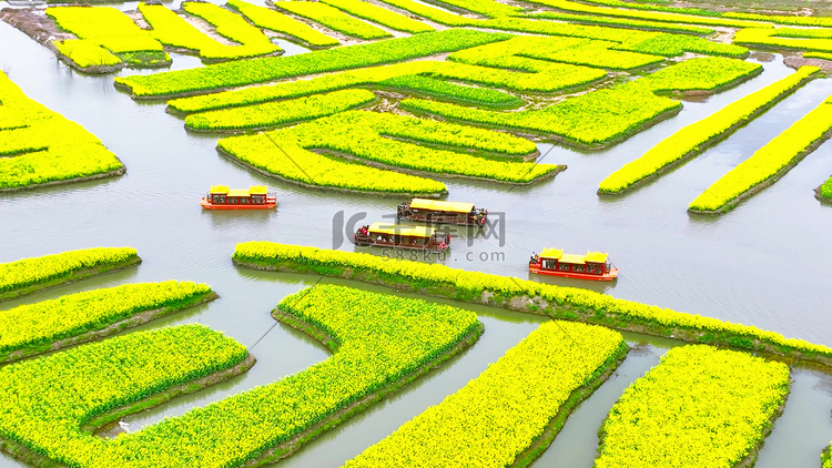 航拍春季春游踏青千垛花海油菜花