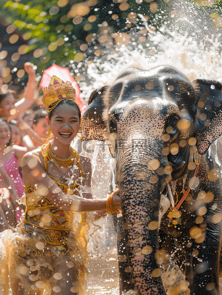 傣族姑娘泼水节大象庆祝传统节日