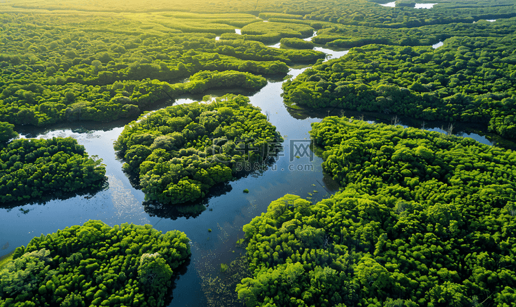 航拍湿地绿洲