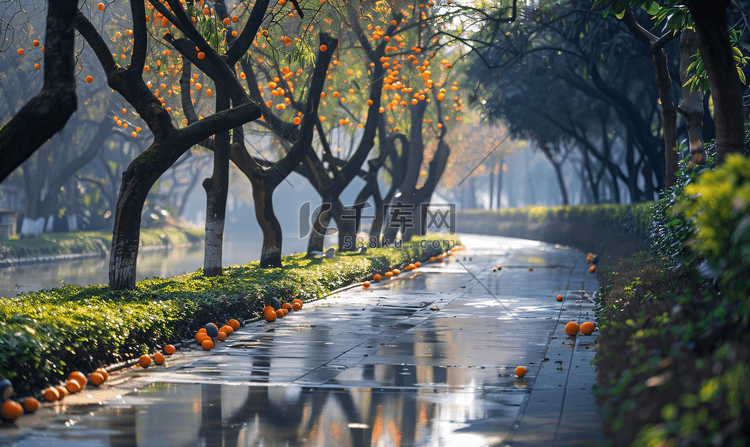 长沙橘子洲头风景