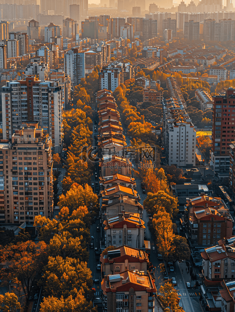 北京市朝阳区俯视图