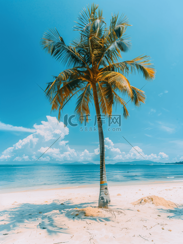 旅游景点海南海边椰子树高清海滩