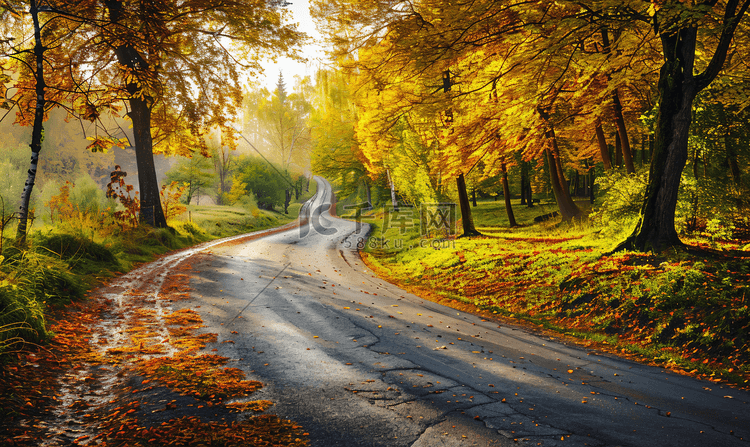 乡村景观的一条公路