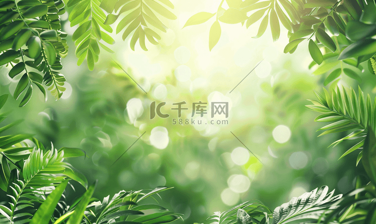 夏天绿植树叶透光风景文艺清新