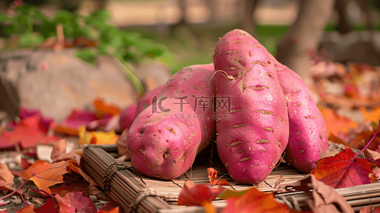 新鲜蔬菜红薯摄影2