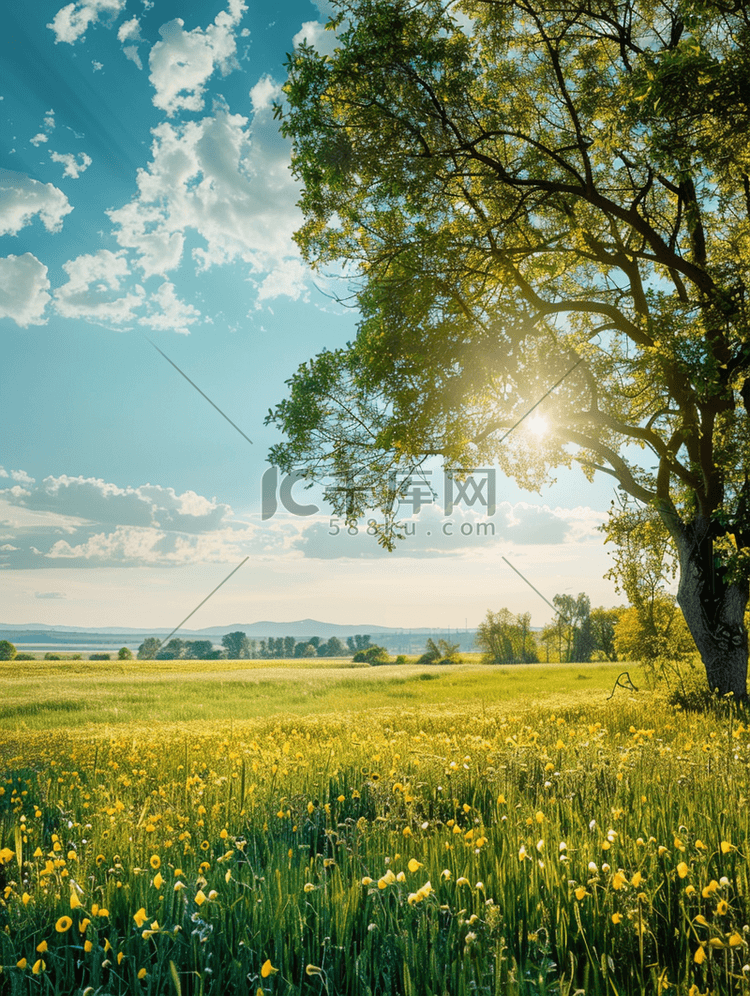 夏天风景