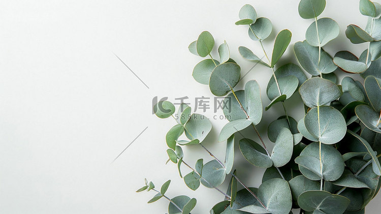 绿色植物立体描绘摄影照片