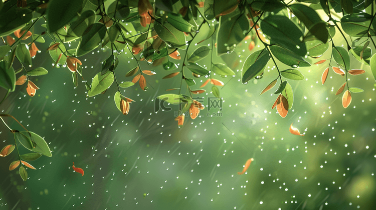绿色森林里雨季下雨树叶树枝风景
