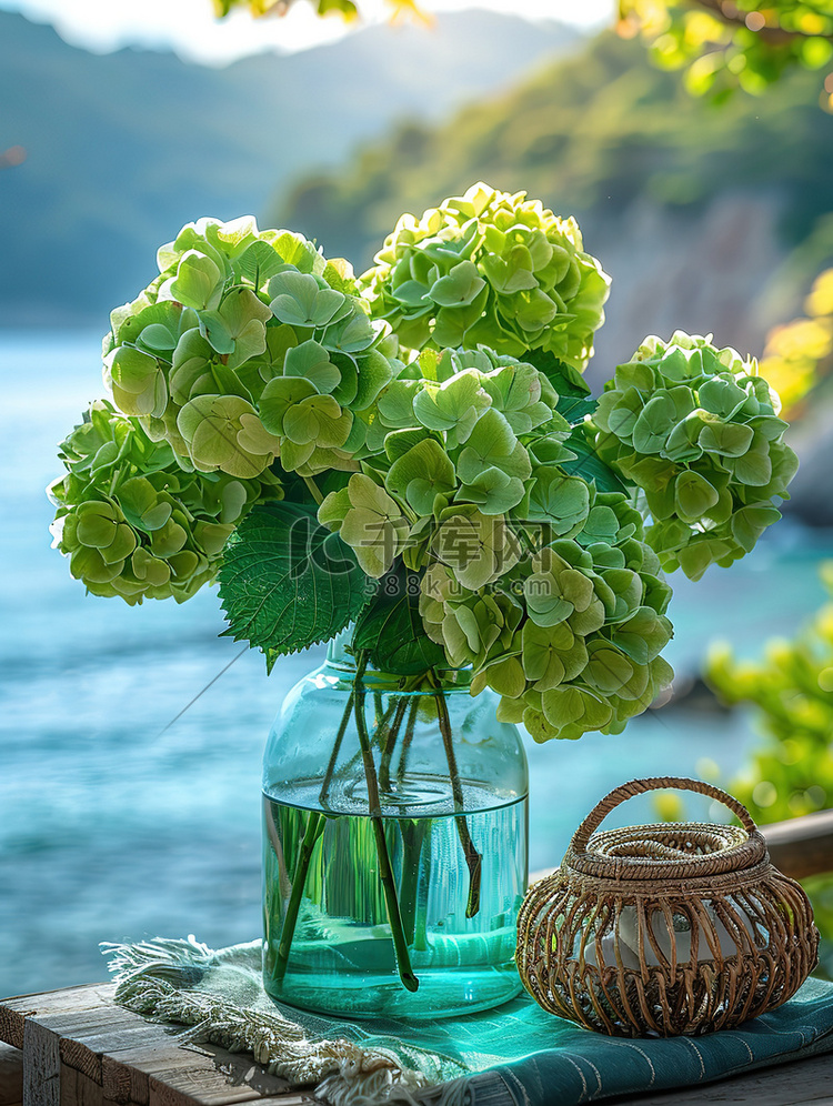 玻璃花瓶里的绿色绣球花照片