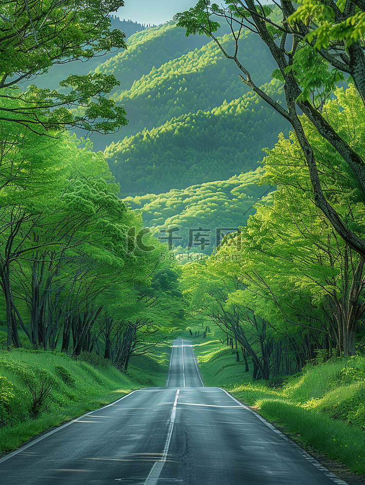 空荡荡的柏油路绿色树木高清图片