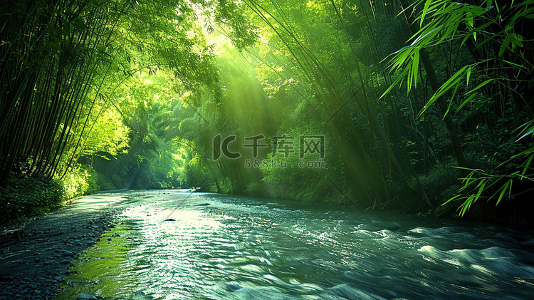 夏日青青森林小道旁的小溪流图片