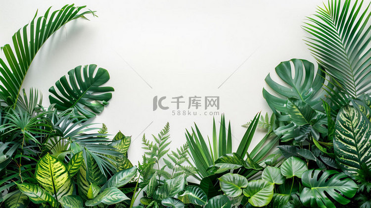 绿植阳光清新合成创意素材背景