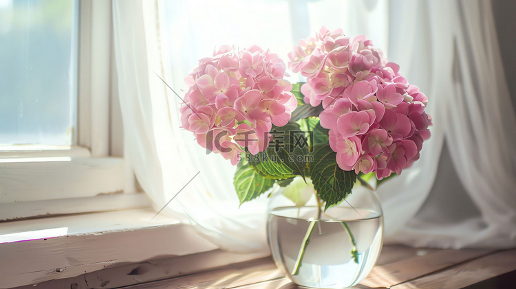 窗帘花朵插花阳光摄影照片