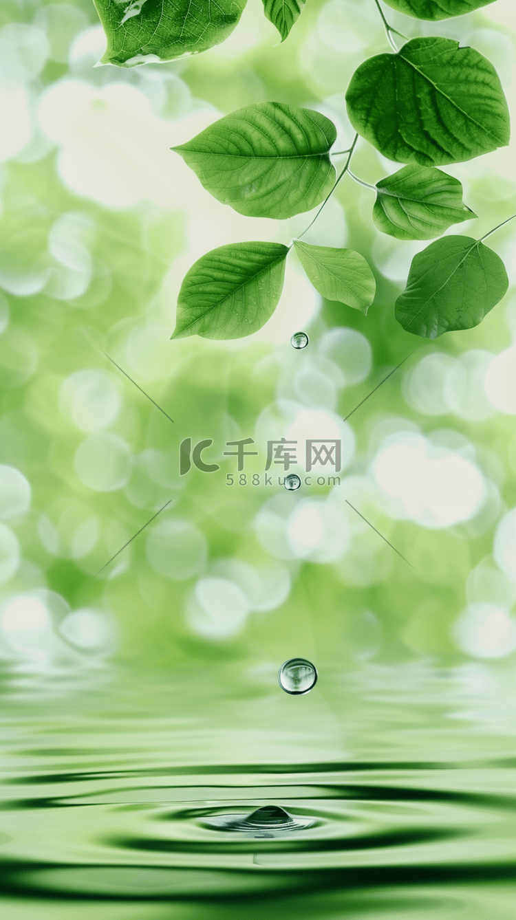夏日场景绿叶水波光影空镜产品展