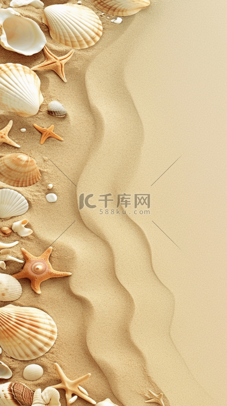 夏日海滩海星贝壳沙滩纹理背景3
