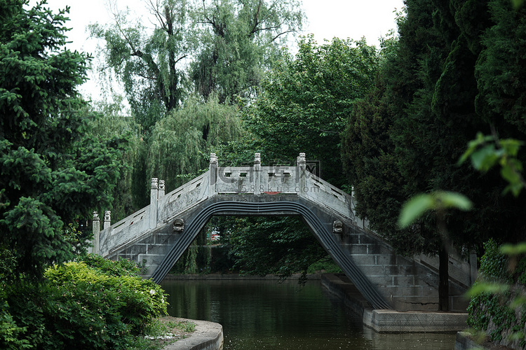 春天春季公园拱桥全景摄影图