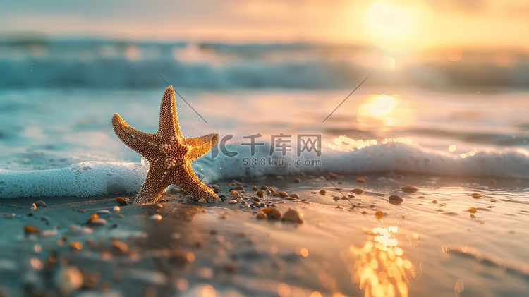 日出时海滩上的海星图片
