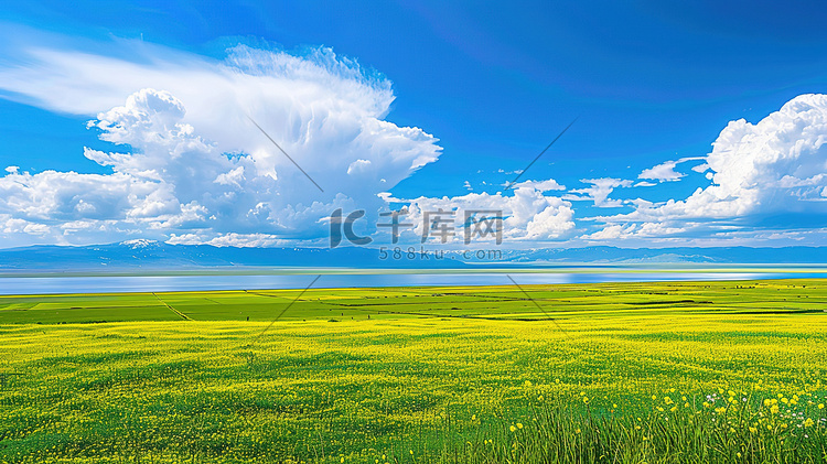 辽阔青海湖的油菜花海摄影图