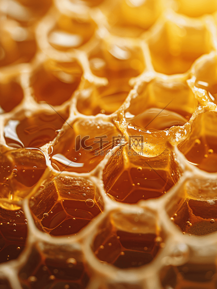 蜂巢蜂蜜选择性焦点