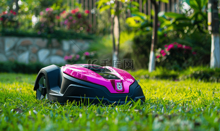 草坪上的粉色和黑色机器人割草机