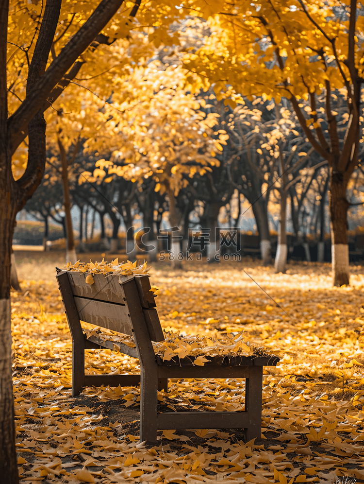 草坪上的木凳上铺满了黄叶