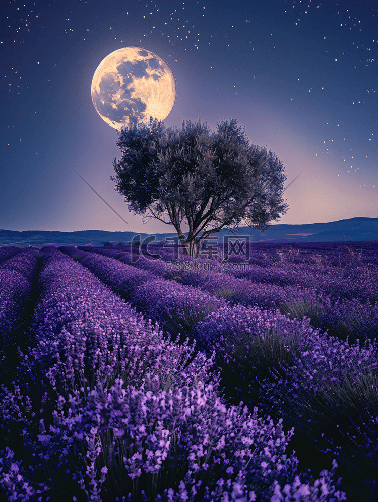 法国薰衣草田上空的月亮