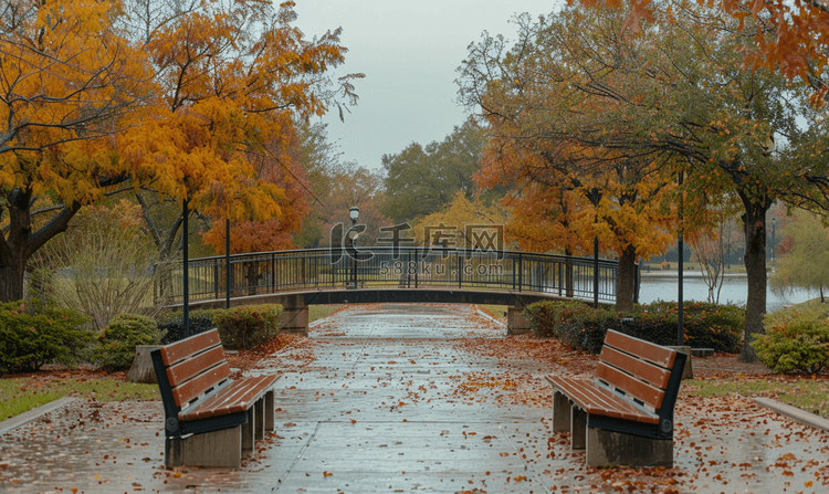 休斯顿公园公路桥的秋景