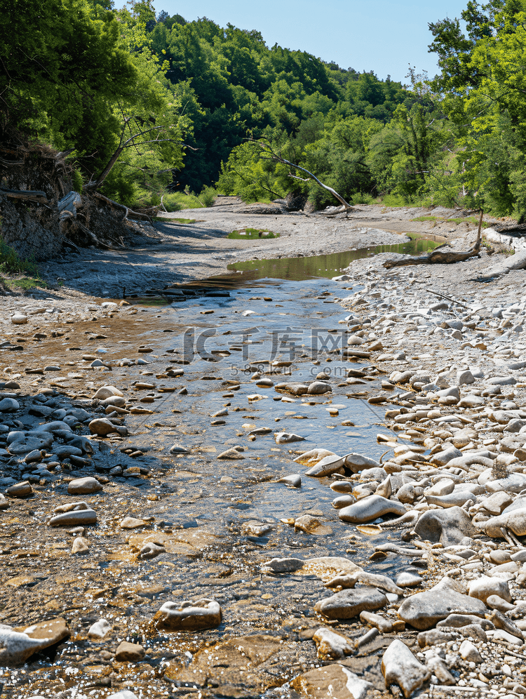 野河干涸的河床