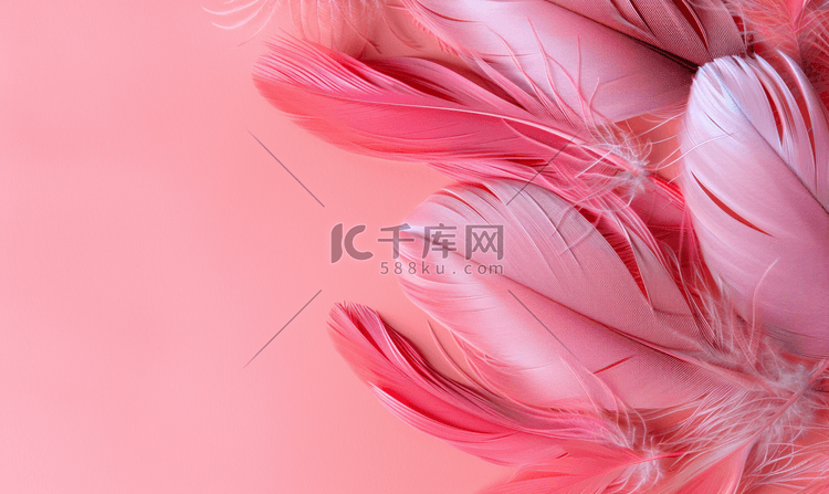 粉红色柔和背景上美丽的粉红色鸟