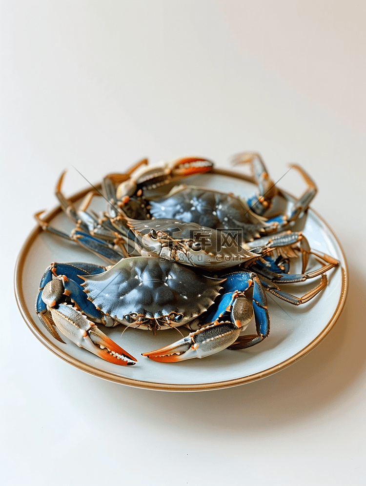 盘子和白色背景上的煮蓝蟹